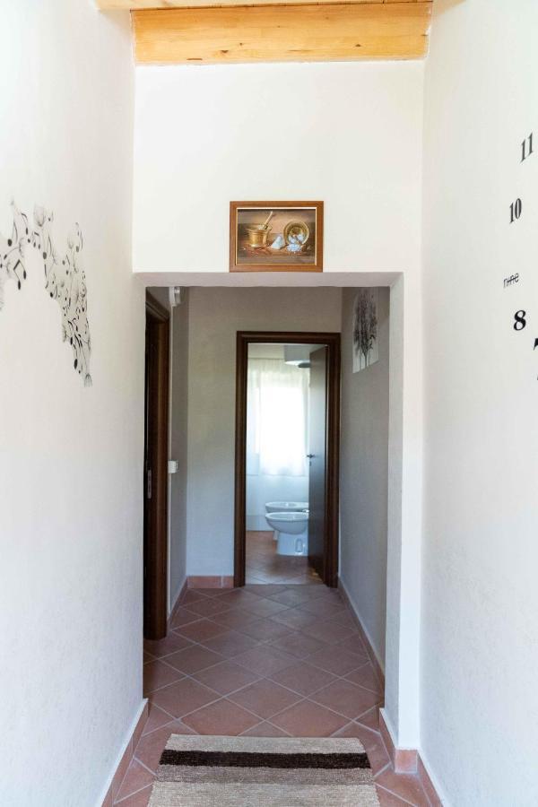 B&B Aria Antica Verbicaro Ngoại thất bức ảnh