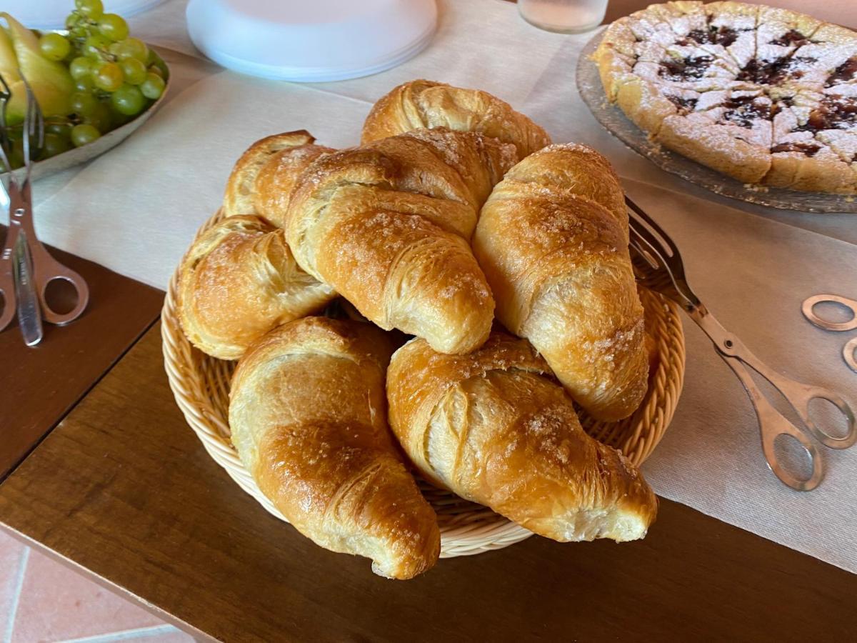 B&B Aria Antica Verbicaro Ngoại thất bức ảnh